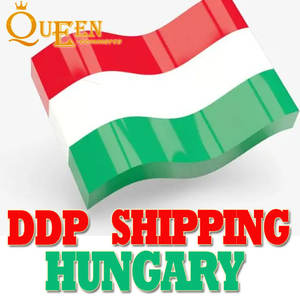 Ultimate DDP Logística transfronteriza Envío rápido por lotes asegurado Llegada oportuna Servicio planetario A LA UE Hungría - Product Image 5