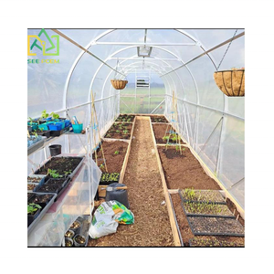 อุโมงค์ <span class=keywords><strong>PE</strong></span> โพลีคาร์บอเนตสำหรับใช้ในสวนหลังบ้านขนาดใหญ่เดินในเรือนกระจก - Product Image 5