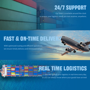 <span class=keywords><strong>Agent</strong></span> international DHL/UPS/FedEx fleur séchée Fast Express USA porte à porte avec suivi logistique - Product Image 4