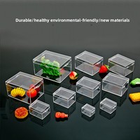 Boîte rectangulaire transparente en plastique PC incassable pour la collection de spécimens d'insectes et l'affichage de cadeaux et d'objets artisanaux