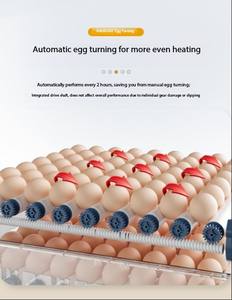 Burung unta 120 Mini 120 ikan penuh 98 392 tenaga surya 500 ayam sepenuhnya otomatis inkubator inkubator telur untuk ayam - Product Image 2