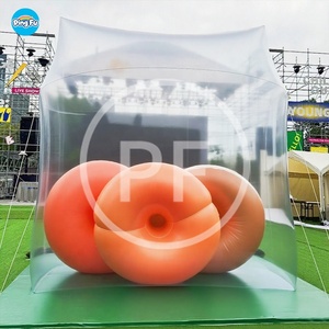 Decorazioni Gonfiabili Personalizzate, Modello Gonfiabile in PVC da 3M, Modello di Borsa a Forma di Fiore, Pallone Gonfiabile in PVC per Esterni e Parchi - Product Image 2