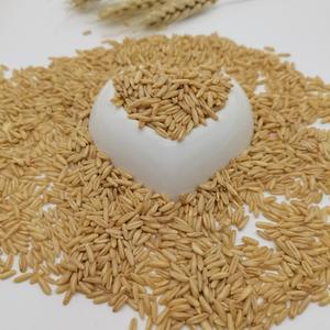 सर्वश्रेष्ठ गुणवत्ता वाले कार्बनिक सूखे ओट्स चावल प्रोटीन युक्त उच्च प्रीमियम खाद्य-ग्रेड कारखाने चीन से सीधे थोक मूल्य पर बेचते हैं - Product Image 6