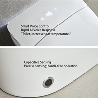 WC intelligent de luxe certifié CUPC ETL avec réservoir d'eau intégré, chasse d'eau automatique, bidet en céramique monobloc