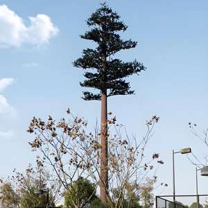 Direkt lieferung ab Werk Ein spalt iger baum förmiger Turm Ökologischer Bereich 4G 5G-Signalabdeckung Wind resistenter Baumturm - Product Image 6