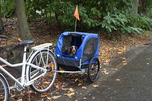 Remorque de vélo pour animaux de compagnie Vélos Chien Remorque Pliante Camper Remorque Pet Cart Vélo Wagon Cargo Carrier Attachement Pour Voyage - Product Image 6