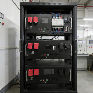 แบตเตอรี่ลิเธียมไอออนคุณภาพสูงแบบแร็ค Lifepo4 ความจุ 15 กิโลวัตต์ชั่วโมง 51.2 โวลต์ 280 แอมป์ชั่วโมง พร้อมระบบปรับสมดุลอัตโนมัติ - Product Image 5