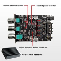 Module amplificateur 100W*2 à double canal pour subwoofer, version APP améliorée 1002T, avec contrôle des tonalités hautes et basses pour carte amplificateur 5.0