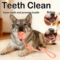 Juguetes Masticables Ecológicos para Perros OEM/ODM, Juguetes de Cuerda No Tóxicos para Mascotas, para Proteger los Muebles y Limpiar los Dientes