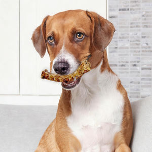 Snack per Cani a Base di Collo di Pollo Essiccato all'Aria, Fonte Naturale di Glucosamina per la Cura delle Articolazioni e la Salute Dentale, Carne Secca per Cani - Product Image 6