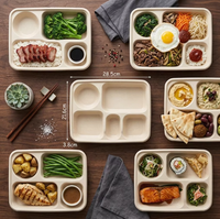 Boîte à lunch rectangulaire en bagasse de canne à sucre à 5 compartiments pour une alimentation saine, récipient alimentaire divisé avec couvercle, capacité de 1000 ml pour bento