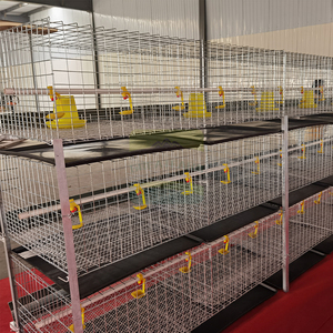 Cage à poulets de type H économique, cage galvanisée, équipement d'élevage avicole automatique pour les petites et moyennes exploitations - Product Image 4