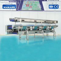 Lavadora Industrial de Vegetales Frescos con Corriente de Burbujas Continua para Plantas de Procesamiento de Vegetales