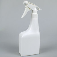 Échantillons Gratuits – Flacons Pulvérisateurs à Gâchette en Plastique HDPE pour Nettoyage Automobile, Rechargeables, 500 ml