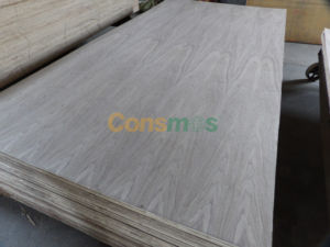 <strong>Veneer</strong> <strong>Fancy</strong> Plywood Teak White Oak Red Oak <strong>Natural</strong> <strong>Veneer</strong> Faced Plywood 4*8ft 3.2mm - Product Image 5