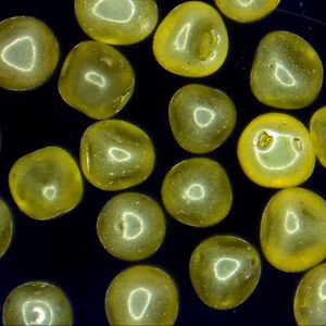 Medio de Pulido de Diamante Termoconductor Esférico SOHAM, Modelo SIDLPSYN, Dureza 10 - Product Image 1