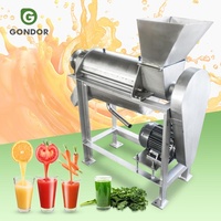 Passie Perziksap Sapcentrifuge Extract Druivensinaasappel Gember Extractie Industriële Extractiesapmachine