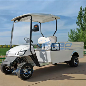 Carrito de Golf Eléctrico de 2 Plazas Fabricado en China para Transporte en Campos de Golf - Product Image 3