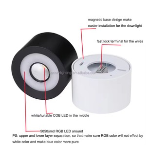 <span class=keywords><strong>Spot</strong></span> encastré <span class=keywords><strong>noir</strong></span> et blanc 12W RGBCCT RGBWW Loxone Smart Benory Lighting 24V Cri90 pour montage en surface, compatible GVS KNX Dali Tuya - Product Image 2