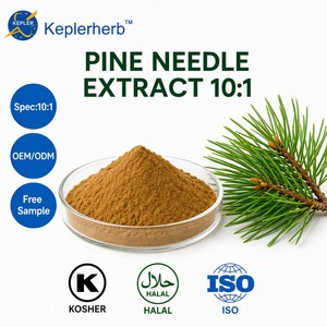 Extractos de Plantas Totalmente Naturales, Extracto de Agujas de Pino en Polvo 10:1, Muestra Gratuita de Extracto de Agujas de Pino para Compradores Mayoristas Globales - Product Image 2