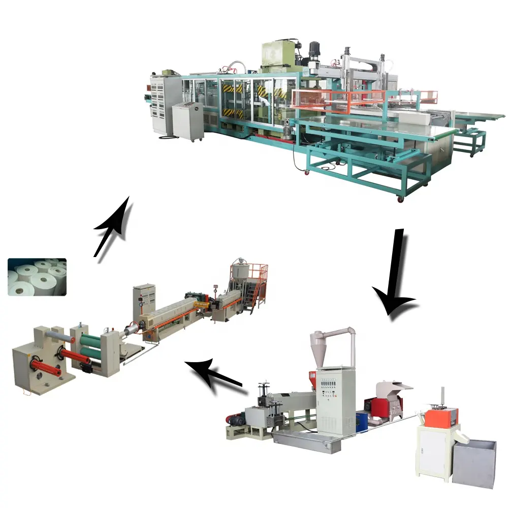 Macchina per la produzione di contenitori per alimenti da asporto con piastra in schiuma PS