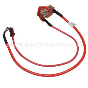 Câble de borne de batterie positive BMW 61126998059 avec protection contre les surcharges pour X5 X6 - Product Image 3