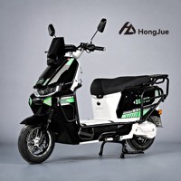 Sepeda Motor Listrik Cruiser OEM Berkinerja Tinggi 1000W Baterai Lithium Ban 10 Inci Desain Tahan Air Skuter Listrik Moped