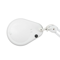 OEM Magnifier Magnifying Glass LED Light Lamp with Clamp Adjustable Arm Beauty Salon Desk Light for Skin Care Eyelash Tattoo