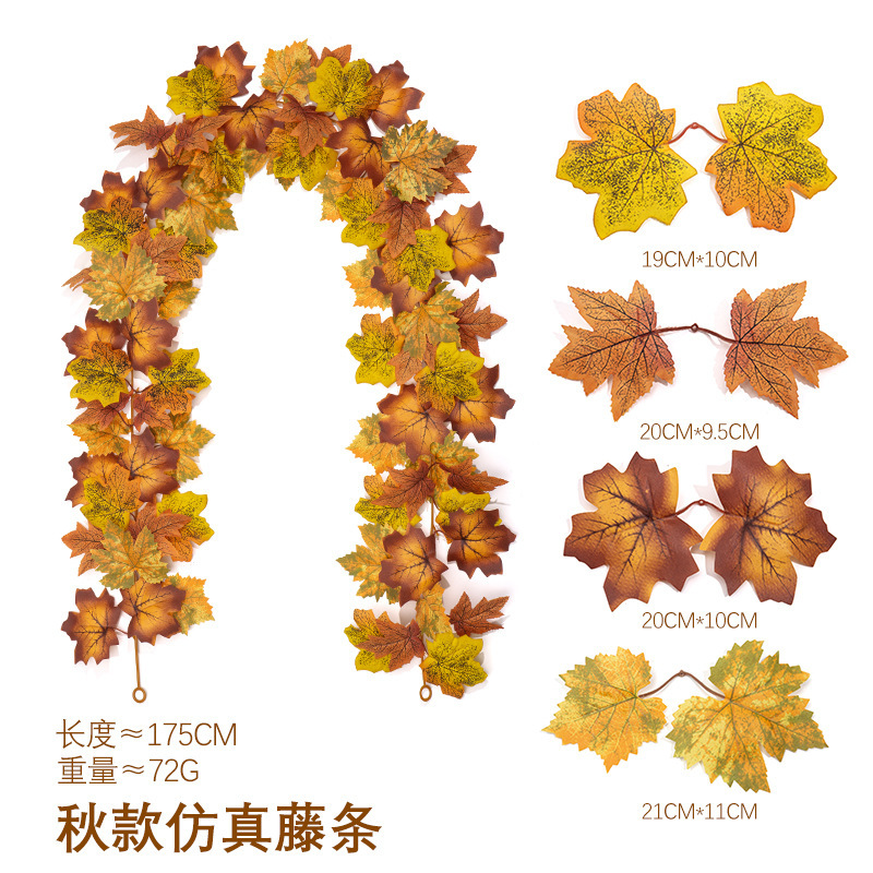 Maple vine - 260 - 1