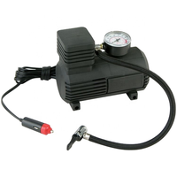 Compresseur d'air numérique portable 12V personnalisable pour pneus, 300 PSI, débit d'air 12 L/min, en plastique, autonomie supérieure à 20 min pour voiture