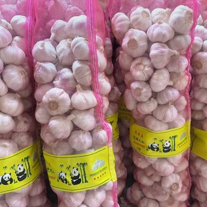 Mercado Mayorista de China, Nuevo Proveedor de <span class=keywords><strong>Ajo</strong></span> Fresco, <span class=keywords><strong>Ajo</strong></span> Blanco Normal, Alho en Bolsa/Caja, Ail G1, Fabricante, <span class=keywords><strong>Ajo</strong></span> <span class=keywords><strong>Morado</strong></span> de Buena Calidad - Product Image 5