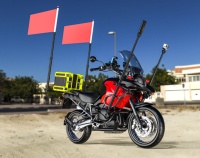 Poteaux de drapeau multifonctionnels en aluminium, télescopiques, 42-110 cm, adaptés aux caméras Insta 360/action, aux feux de signalisation, aux poteaux de drapeau