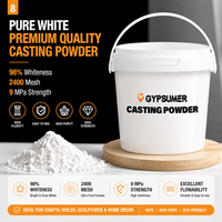 Poudre de gypse blanc à 98 % pour l'artisanat, la fabrication de moules en céramique, la poudre de plâtre pour le moulage, fabricant
