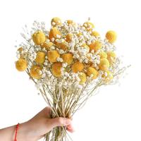 Penjualan laris bunga emas Babysbreath buket kering palu emas dekorasi bunga asli bunga abadi kering