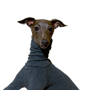 Ropa de invierno para mascotas algodón <span class=keywords><strong>galgo</strong></span> italiano Whippet base cálida ropa de cuatro patas suéter para perros - Product Image 3
