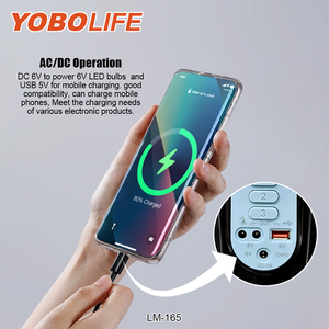 China High Quality YOBOLIFE Solar Fan With Build in <b>Battery</b> USB Charger 16 Inch Rechargeable Solar Stand Fan LM-165 L - Product Image 5