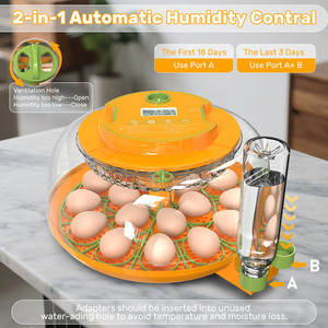 Incubateur d'œufs 2026 en promotion : contrôle précis de la température, contrôle intelligent de l'humidité, retournement automatique des œufs, taux d'éclosion élevé - Product Image 3