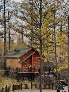 Casa di legno nella decorazione della parete della foresta mini stile di vita moderna arte tela pittura naturale 40*60 cm per soggiorno e hotel - Product Image 4