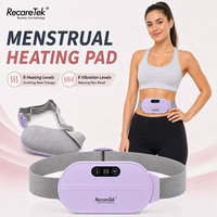 Kit de Masaje Relajante, Almohadilla Térmica para el Período, Otros Suministros para el Cuidado de la Salud, Producto para Calentar la Cintura, Calentador para la Parte Inferior del Abdomen, Terapia de Calor en el Hogar