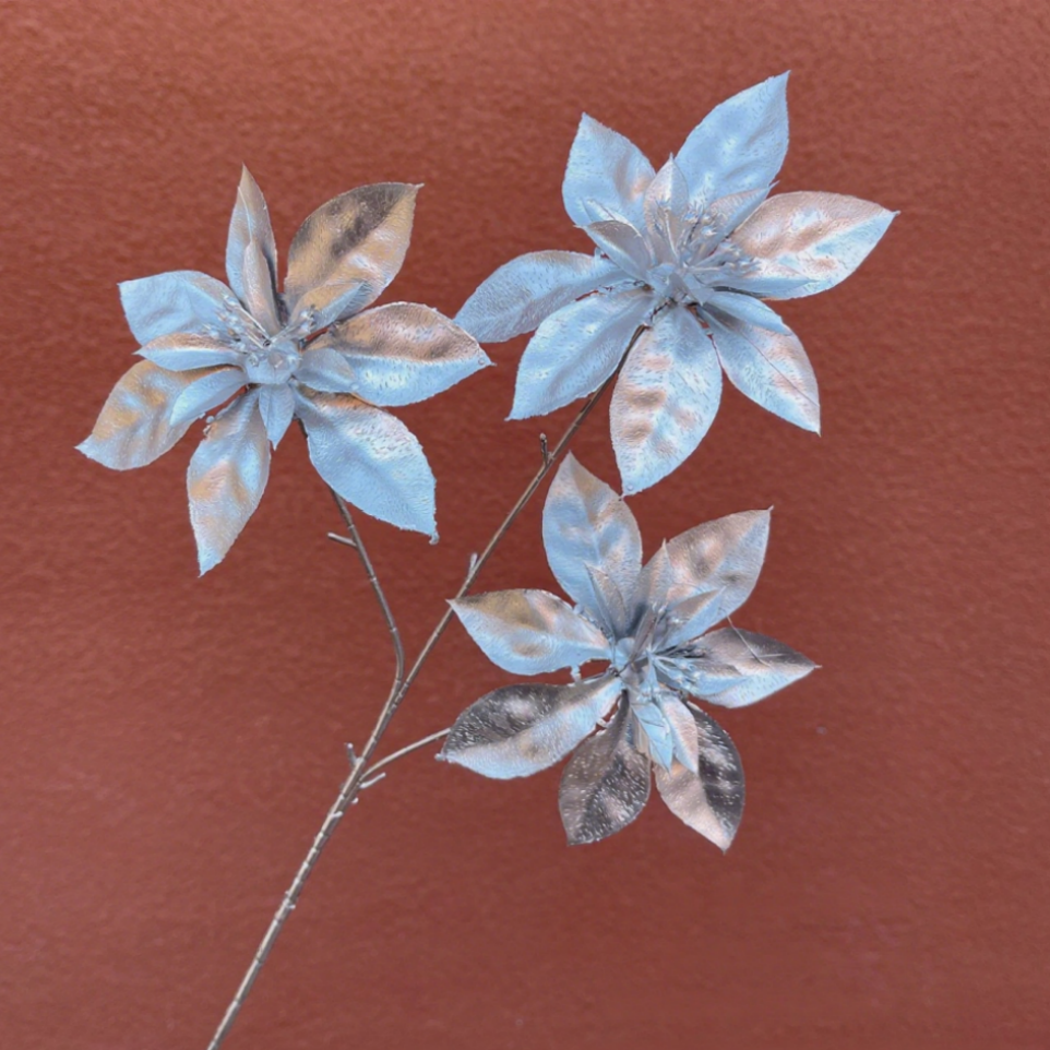 ดอกไม้คริสต์มาส