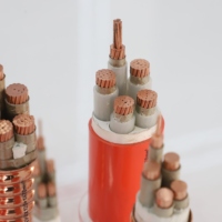 Câble ignifuge isolé minéral inorganique multiconducteurs, conducteur en cuivre de haute qualité, câble électrique à économie d'énergie