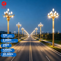 Poteaux d'éclairage LED décoratifs modernes à haute luminosité pour projets extérieurs, personnalisés en usine, pour rues et autoroutes