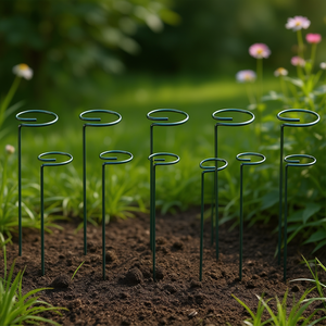 Supporti per Piante da Giardino 10 Pezzi in Metallo 10-16 Pollici, Gabbie ad Anello in Ferro a Stelo Singolo per Protezione della Crescita di Fiori e Piante da Giardino - Product Image 2