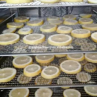 Stabiele industriële fruit- en groentedroogoven met energiebesparende technologie voor grootschalige fruitdroging, lange levensduur