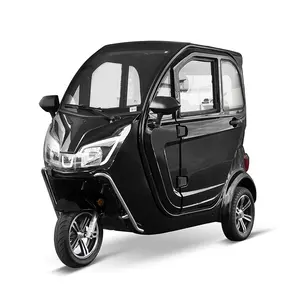 3 Wheel Electric Motorcycle Car With Drive Cabin/electric Scooter Enclosed With Passenger Seat/cargo Tricycle For Adults