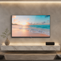 Téléviseur intelligent Android OLED 32 pouces Amaz Factory Wholesale Ultra Slim HD (1366*768)