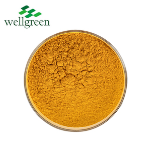 Yüksek kaliteli ek zerdeçal özü <span class=keywords><strong>Curcuma</strong></span> <span class=keywords><strong>Longa</strong></span> özü USP sınıf 95% kurkumin tozu - Product Image 3