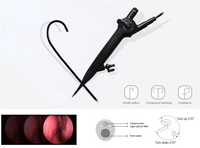 Cystoscope flexible USB, endoscope numérique, instruments chirurgicaux, utilisation vétérinaire canine, haute qualité, portable