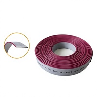 Cable Plano de Pantalla UL2651 con Revestimiento de Policloruro de Vinilo Gris con Borde Rojo, Calibre 28 AWG, Paso de 10 mm, Sin Conectores, Modelo 2651-2870.127TS