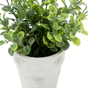 ต้นหญ้าจัสมินเทียมใน<span class=keywords><strong>กระถาง</strong></span> ต้นออริกาโนปลอมขนาดเล็ก <span class=keywords><strong>ต้นไม้</strong></span>ประดิษฐ์ใน<span class=keywords><strong>กระถาง</strong></span>เยื่อกระดาษ สำหรับตกแต่งบ้าน สำนักงาน โต๊ะทำงาน <span class=keywords><strong>ชั้น</strong></span><span class=keywords><strong>วาง</strong></span>ของ - Product Image 2